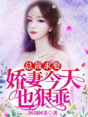 二婚新妻:爷的女人不好撩