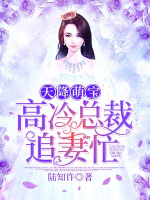 天降萌宝:高冷总裁追妻忙