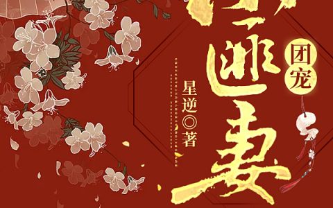 求小说《团宠小匪妻》全文免费阅读资源！