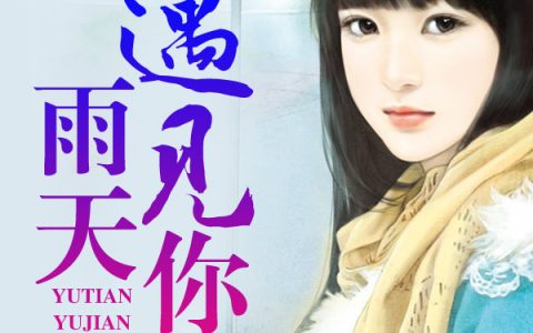 微信小说看到的《雨天遇见你》求最新章节