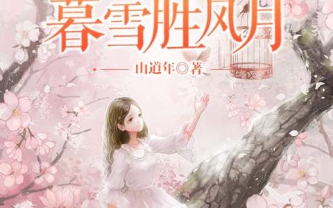 彼时暮雪胜风月最新的章节怎么看?