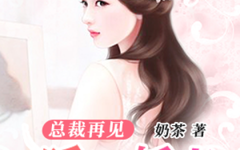 求小说《暖婚娇妻：总裁再见》全文免费阅读资源！