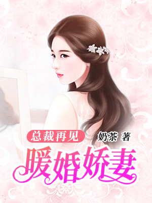 暖婚娇妻:总裁再见