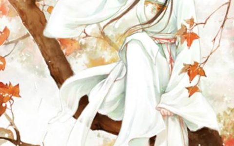 求小说《繁华不及你一笑》全文免费阅读资源！