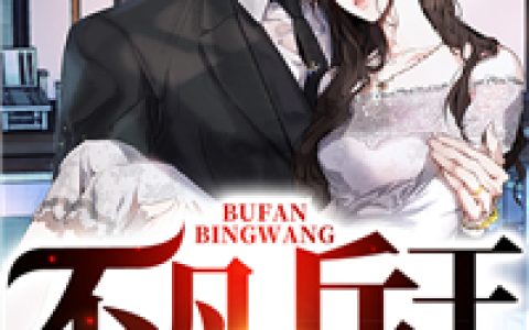 陈不凡宁婉小说最新章节列表