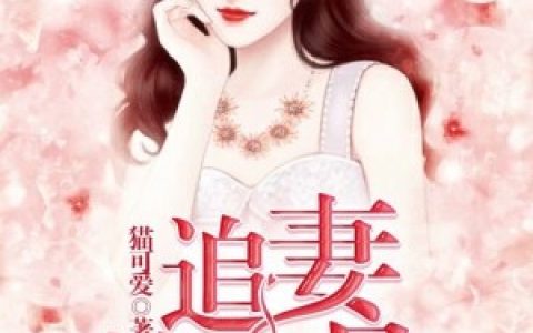 林弯月秦墨小说最新章节列表