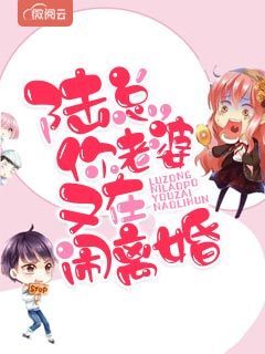 陆总,你老婆又在闹离婚