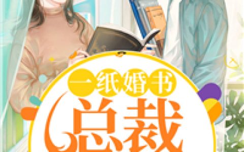一纸婚书：总裁别来无恙最新的章节怎么看?