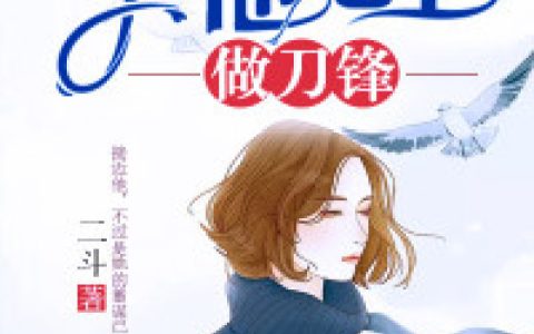 主角叫纪安辛宋凛《于他心上做刀锋》书籍章节列表