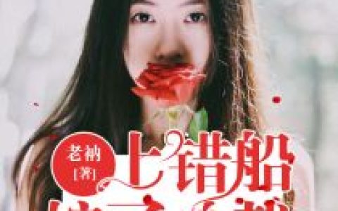 求小说《上错船，嫁了总裁》全文免费阅读资源！