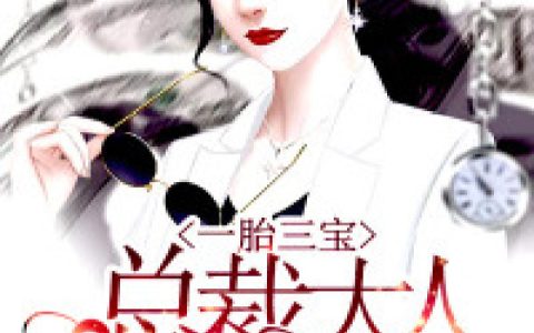 一胎三宝：总裁大人还想要(厉寒辰厉爷)小说在哪里看?