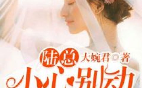 宋凉音宋佳佳小说最新章节列表