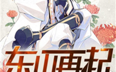 主角叫杨天萧忆晴《东山再起》书籍章节列表
