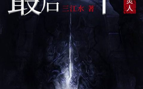 最后一个起灵人(陈信黄娴)小说在哪里看?