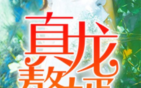 林若雨刘宗林小说最新章节列表