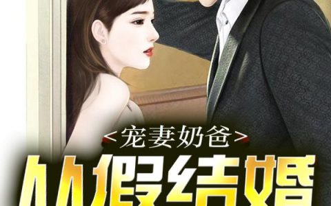 主角叫张涛方彪《宠妻奶爸：从假结婚开始》书籍章节列表