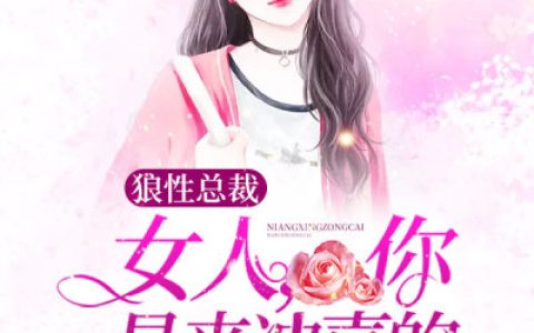 主角叫舒馨舒阔海《狼性总裁：女人，你是来冲喜的》书籍章节列表