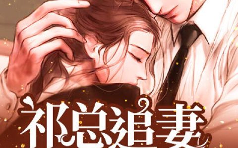 求小说《祁总追妻太难了》全文免费阅读资源！