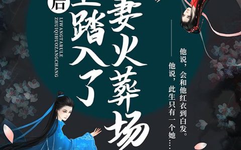 主角叫沈木兮薄云岫《七年后，离王踏入了追妻火葬场》书籍章节列表