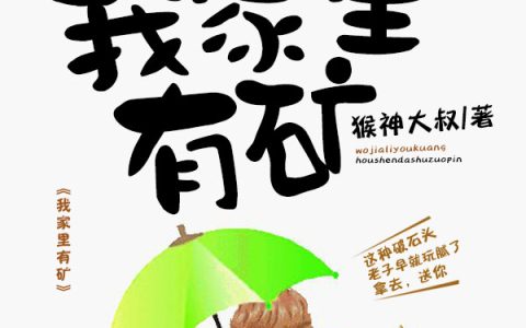 主角叫沈浪吴梦洁《我家里有矿》书籍章节列表