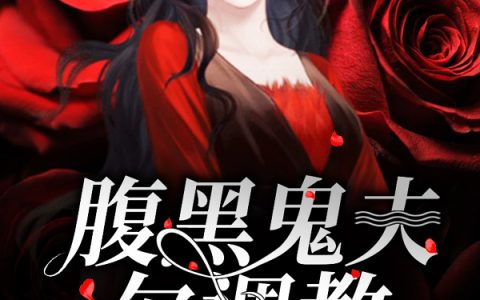 吕后陆亦清小说最新章节列表