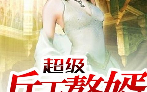 主角叫叶骄阳苏橙《超级兵王赘婿》书籍章节列表