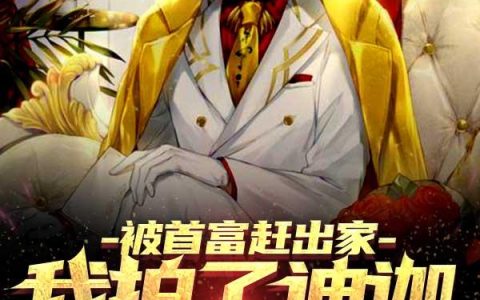 求小说《被首富赶出家，我拍了迪迦奥特曼》全文免费阅读资源！