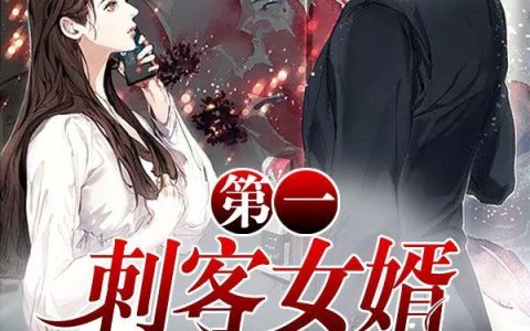 求小说《第一刺客女婿》全文免费阅读资源！