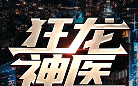 微信小说看到的《狂龙神医》求最新章节