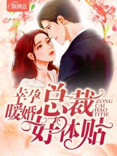 幸孕暖婚总裁好体贴