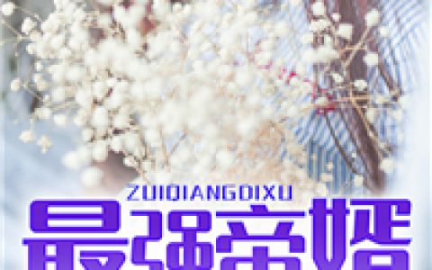 最强帝婿(苏凌天林若雪)小说在哪里看?