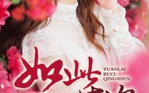 缘来如此情深最新的章节怎么看?