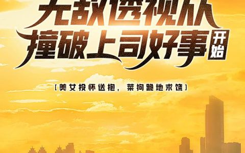 主角叫顾铭王波《都市：无敌透视从撞破上司好事开始》书籍章节列表