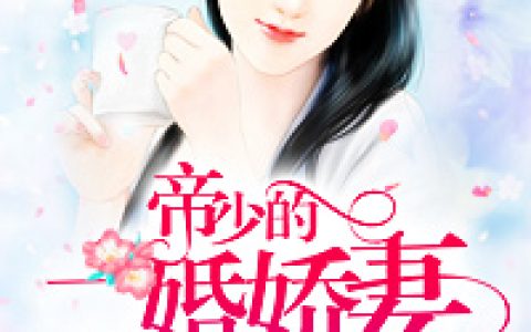 主角叫余陌笙勉强恢复了平静《帝少的二婚娇妻》书籍章节列表