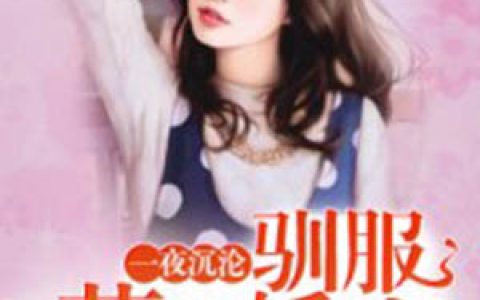 一夜沉沦：驯服惹火娇妻迟小宴，一夜沉沦：驯服惹火娇妻小说免费阅读