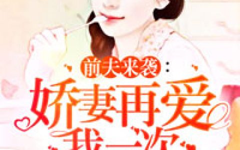 前夫来袭：再爱我一次(叶臻陆恒)小说在哪里看?