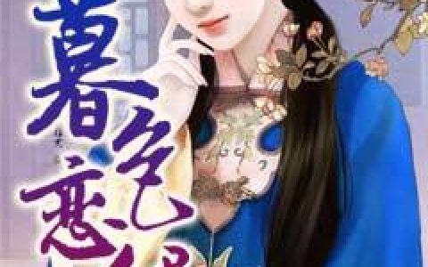 主角叫宁绾心万小四《暮色恋伊人》书籍章节列表