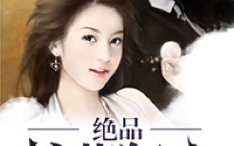 主角叫叶峰刘静《绝品护花》书籍章节列表