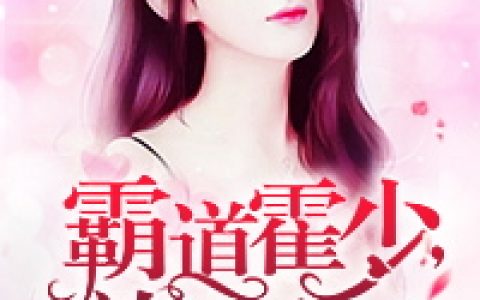 苏慕夏许江小说最新章节列表