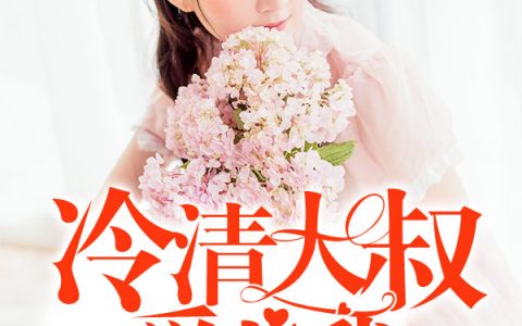 主角叫何沐晴杜成《新妻上任，大叔请专情》书籍章节列表