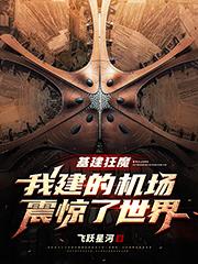 基建狂魔:我建的机场震惊了世界