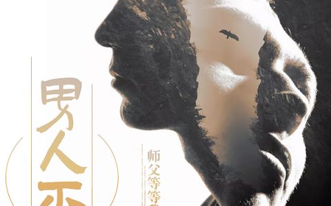 微信小说看到的《男人不哭》求最新章节