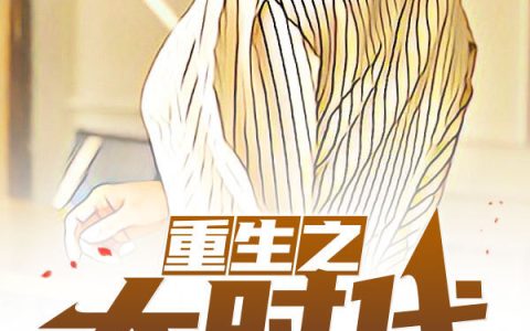 重生之大时代(周良安小胖子)小说在哪里看?