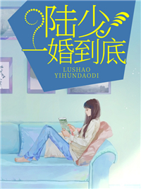 陆少,一婚到底