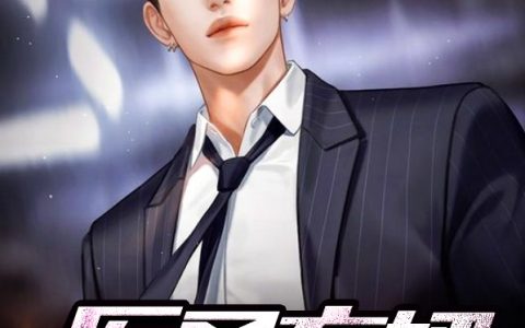 主角叫林凡苏倾城《医圣弃婿》书籍章节列表