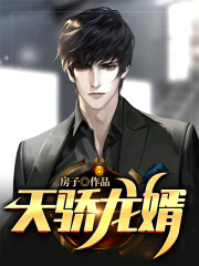 风水龙婿
