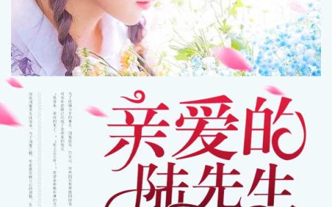亲爱的陆先生最新的章节怎么看?