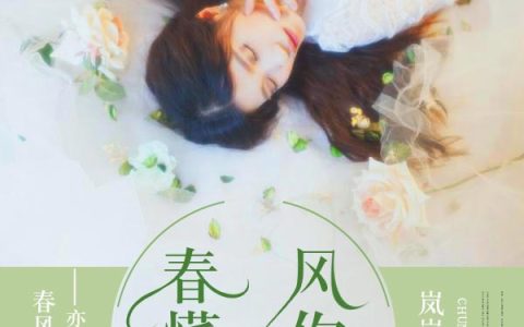 春风懂你亦生愁(苏晚晚陆亦)小说在哪里看?