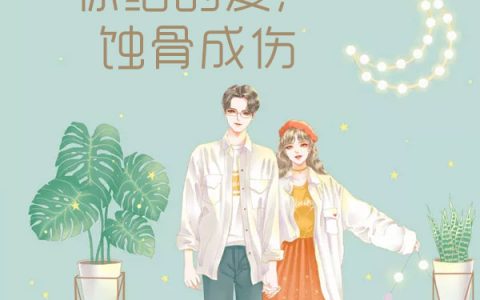 求小说《你给的爱，蚀骨成伤》全文免费阅读资源！