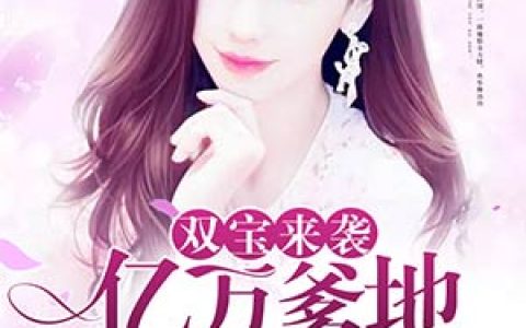 求小说《双宝来袭：亿万爹地求娶妻》全文免费阅读资源！